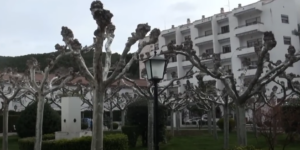 Imagen del Balneario Virrey Palafox - Fitero 2